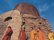 迦尊が座して真理を説いたといわれている巨大なダーマク塔 迦尊が座して真理を説いたといわれている巨大なダーマク塔