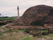 アショカ王の石柱 アショカ王の石柱