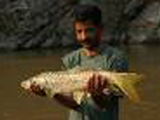 川のポイントをフィッシングガイドがご案内致します。 川のポイントをフィッシングガイドがご案内致します。