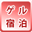 ゲル宿泊