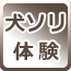 犬ソリ体験