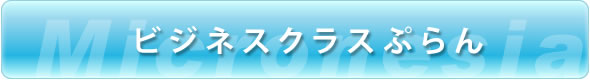 ビジネスクラスぷらん