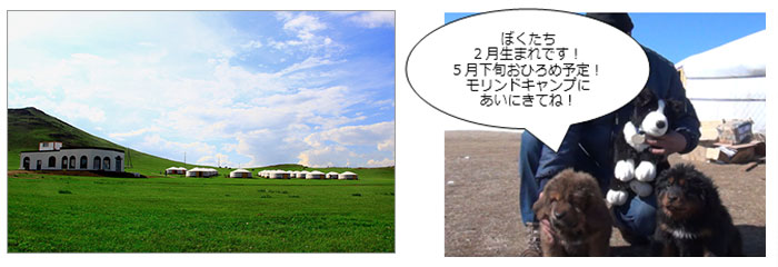 モリンドキャンプ モニターキャンペーン モリンドキャンプ モニターキャンペーン