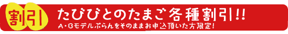 たびびとのたまご　各種割引