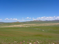 丘の上まで散歩。