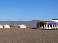 遊牧民ゲル ゲルのお母さんが放牧しているところ ツーリストキャンプ