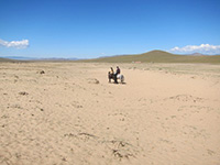 砂漠のような砂地 砂漠のような砂地