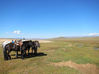 小川のほとりで 小川のほとりで