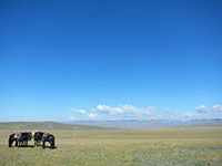 馬をつないで休憩 馬をつないで休憩