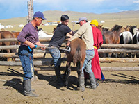 烙印の儀式 烙印の儀式