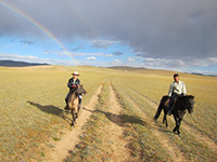 虹がかかりました。 虹がかかりました。