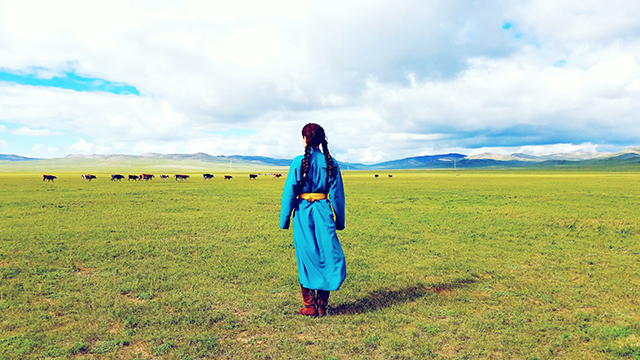 何にもない大草原。いい写真撮れました☆ 大草原にて