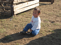 素直な・純粋・素朴をイメージします。