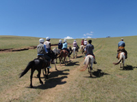 乗馬ライディング 快晴の中草原を駆け巡りました。最高!