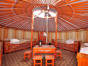 ゲルの内部は割と広い ゲルの内部は割と広い