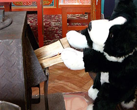 薪ストーブ 薪ストーブ