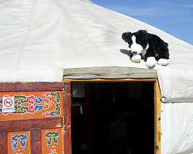 ツーリストキャンプゲル ツーリストキャンプゲル