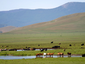 いろいな風景にであえることでしょう