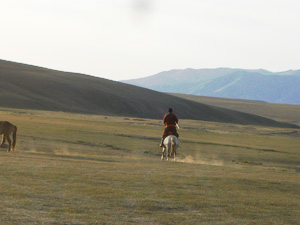 早足にも慣れてきました