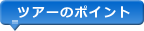 ツアーのポイント